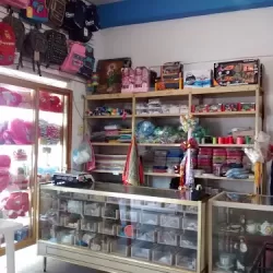 Papelería Y Mercería Julieta