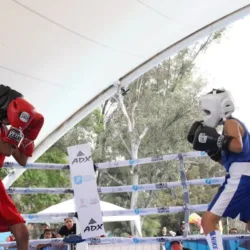 Boxeo larios