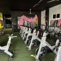 Wolf Gym