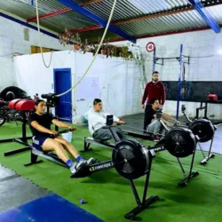 Lion's fitness Cf