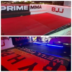 Prime MMA (Gimnasio de Artes Marciales)