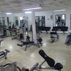 Body-Conection Gym
