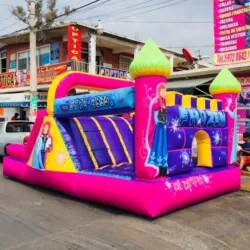 Alquiladora Servi Party