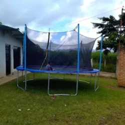 Diversiones Bb Saurios