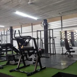 PM Hybrid Training
