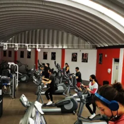 Gym Fuerza Fit