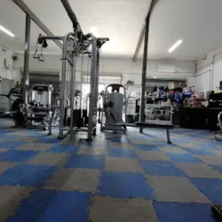 Asesorías Personalizadas SamyFit