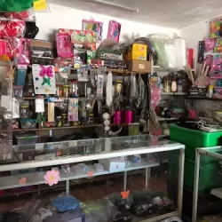 Papelería y Mercería María Elisa