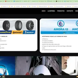 MG Sistemas, desarrollo de sistemas, páginas Web y Apps para móviles (Software)
