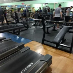 Maximus Gym
