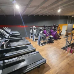 Avanntie Fitness JT