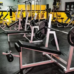 Tiger Gym