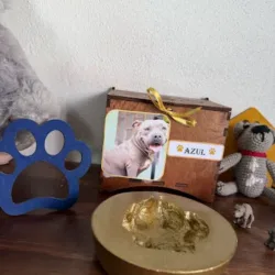 Servicios de cremación para mascotas huellitas de Ángel