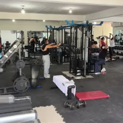 Total gym