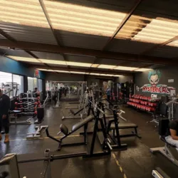 GYM HYSTERICAL