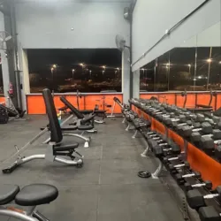 Openfit 24/7