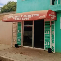 Papeleria Y Merceria "Evelyn"