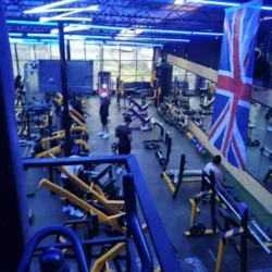 Cerbero Bulking (gym)