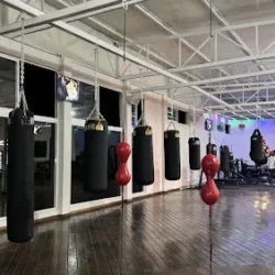 Alpha Wolf Gym
