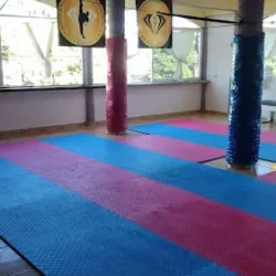 Sparta Gym