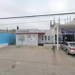 La pájara pinta