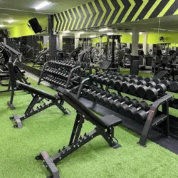 Revolution Fitness