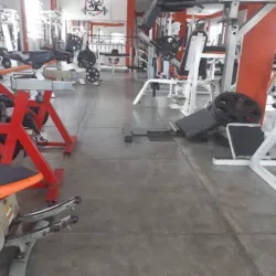 Sport life gym
