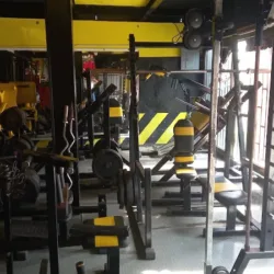 Gym Bulldogs XT