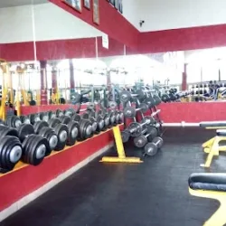 Gym Jonadys