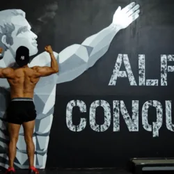Alfa GYM