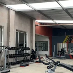 Ener Gym