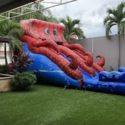 toldos y carpas en renta puerto vallarta