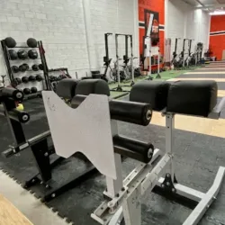 7 FIT