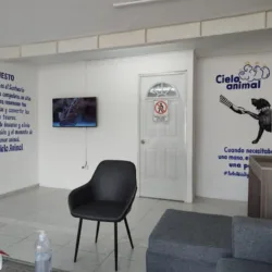 Oficinas Cielo Animal Funeraria Para Mascotas En Mérida