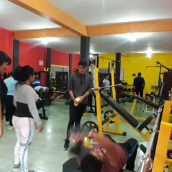 Sport Body Gym Fitness