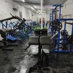 JISA FIT