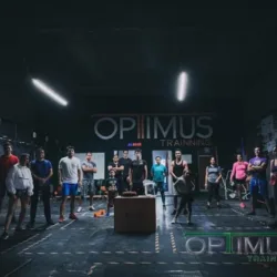 Optimus training