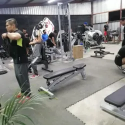 Gorilla GYM