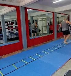 Academia de Box y Artes Marciales Champions