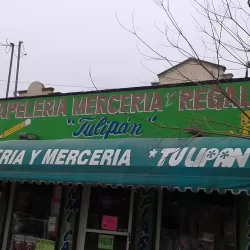 PAPELERÍA MERCERÍA Y REGALOS Tulipán