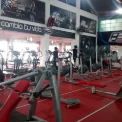 BodyFitness SportGym