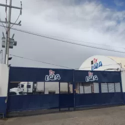 Cedis Lala Magdalena de Kino, Son.