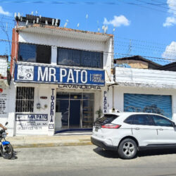 Lavanderia MR Pato y tintorería