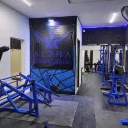 Alpha Gimnasium