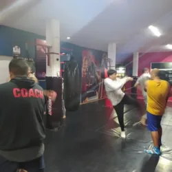 KNOCKOUT FIGHT & FITNESS