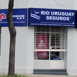CHICOVINILO