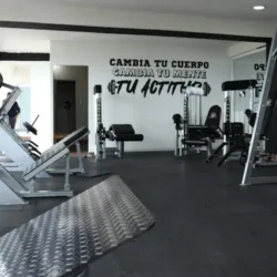 Torito Gym