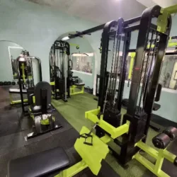 Jungle gym
