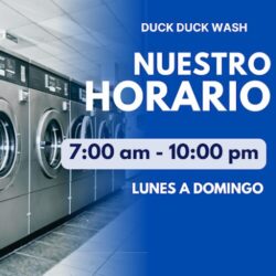 Duck Duck Wash
