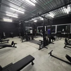Evolution Gym